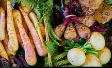 Warzywa w diecie - kuracja oczyszczająca organizm